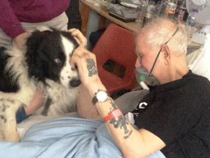 Перед смертю дідусь зворушливо попрощався зі своїм псом (відео)
