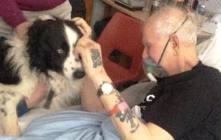 Перед смертю дідусь зворушливо попрощався зі своїм псом (відео)