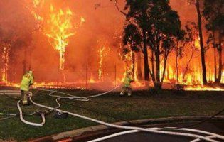 Масштабна пожежа досягла Сіднея (відео)