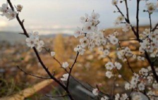 Прогноз погоди на вівторок, 17 квітня