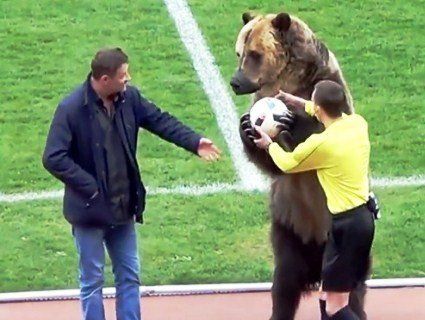 Трюки російського ведмедя-уболівальника обурили захисників тварин (відео)