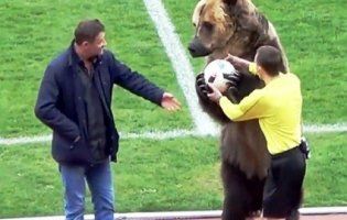 Трюки російського ведмедя-уболівальника обурили захисників тварин (відео)