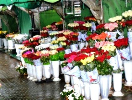 Квітковий ринок остаточно переїхав зі скверу в центрі Луцька (фото)