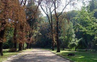 Львів’янам на 72 години заборонили відвідувати парки