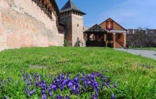 Як Луцьк квітне весною (фото)