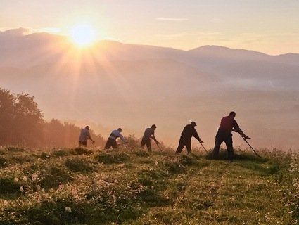 Бригада косарів за сезон заробляє до 30 тисяч гривень