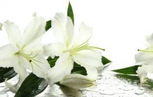 Кого сьогодні вітати з Днем ангела