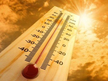 Рекордна спека та пожежі в Україні