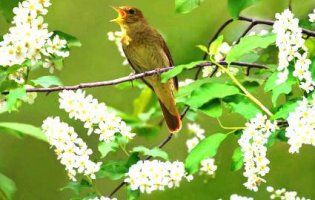 Чому завтра, 10 травня,  важливий день