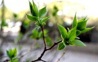 Якою буде погода для волинян та чому цей день може «прибавити здоров'я на цілий рік»