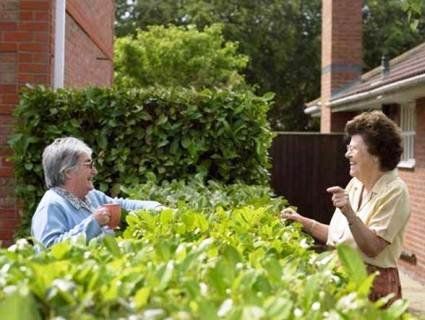 25 травня відзначають день сусідів
