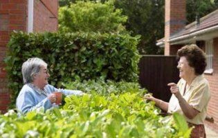 25 травня відзначають день сусідів