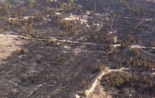 На Херсонщині масштабна пожежа, яку гасять пожежники шести областей