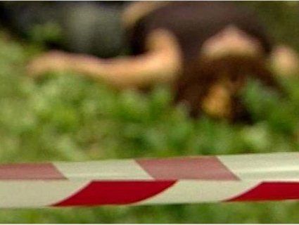 На Дніпропетровщині в лісосмузі знайшли тіло семикласниці