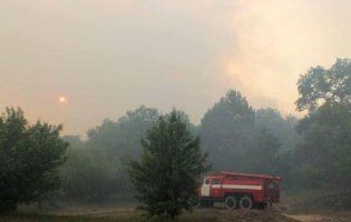 У Чорнобильській зоні досі гасять пожежу