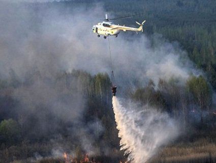 Ліс в Чорнобилі підпалюють, щоб приховати його вирубку на продаж (відео)