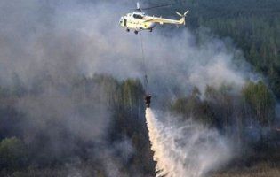 Ліс в Чорнобилі підпалюють, щоб приховати його вирубку на продаж (відео)
