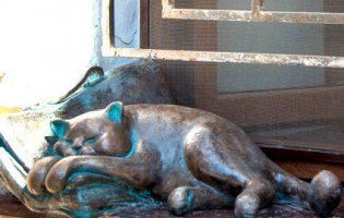 В Одесі з підвіконня вкрали кота Жванецького