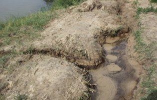 У Володимирі-Волинському на березі річки Луги утворились джерела