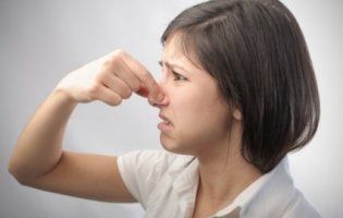 Що смердить у Луцьку?