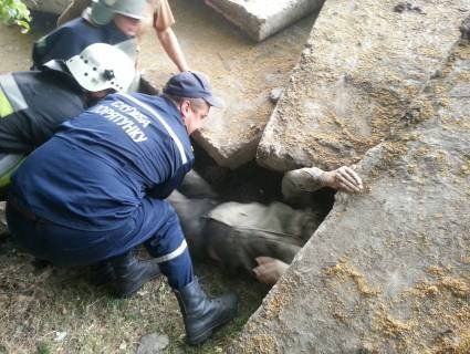 На Вінниччині бетонна плита на смерть зачавила людину