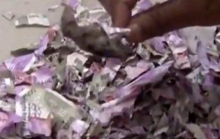 «Миші з’їли»: гризуни всередині банкомата сточили 170 000 доларів