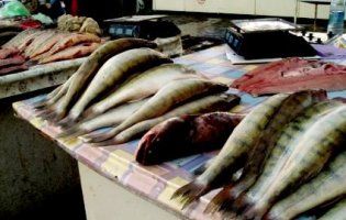 На київському ринку продають дуже небезпечну рибу