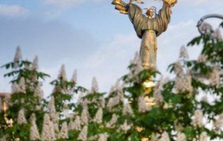 Кияни залишаться без символу міста: замість каштанів висадять горобину?