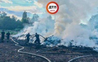 Масштабна пожежа у Києві: горять 1000 «квадратів» парку