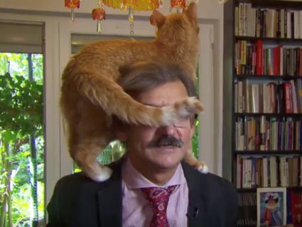Реакція польського професора, на якого під час інтерв’ю стрибнув кіт, змусила Мережу реготати (відео)