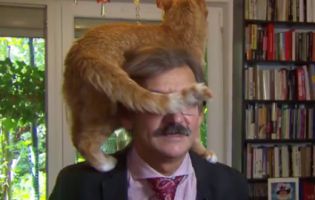 Реакція польського професора, на якого під час інтерв’ю стрибнув кіт, змусила Мережу реготати (відео)