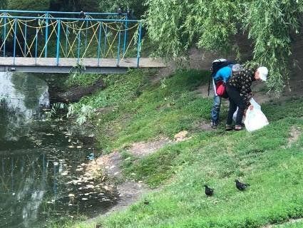 В Києві нелюди годують диких птахів отрутою: тушками всіяні береги водойми (фото)