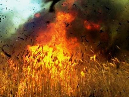 Недопалок чи випалювання стерні можуть стати причиною смертельно небезпечної пожежі