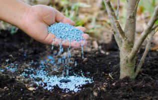 Росія погрожує «заморозити» українських виробників добрив