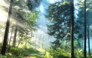 На Волині покарали корупціонера