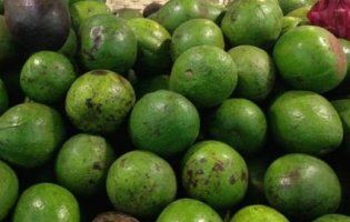 У столичному супермаркеті округлий огірок видали за авокадо (фото)