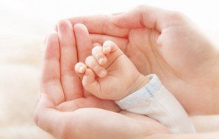 У Кривому Розі горе-мати залишила мертве немовля в місці, де годують бездомних тварин