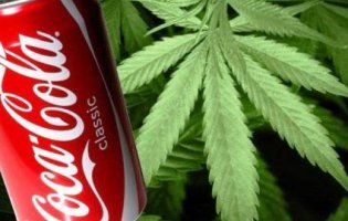 Завжди Coca-Cola: у популярний напій додадуть марихуану