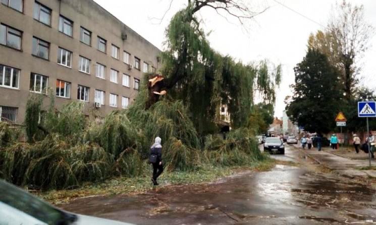 Негода у Львівській області 24 вересня