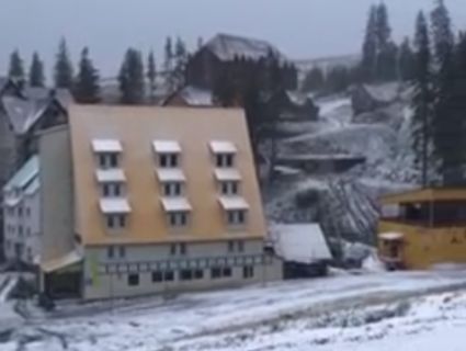 А на Закарпатті засніжило: з’явилося відео снігопаду в горах