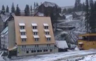 А на Закарпатті засніжило: з’явилося відео снігопаду в горах