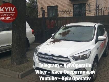 У Києві обляпали лайном автівки російських дипломатів (фото)