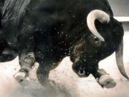 Смертельне родео: бик підняв на роги туристку