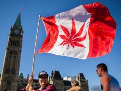 У Канаді марихуану можна легально купити в Інтернеті