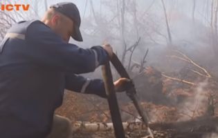 Екологічне лихо на Волині: масштабна пожежа на торфовищах