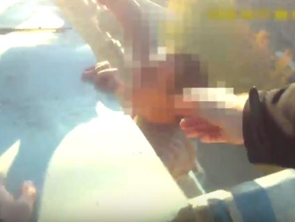 У Сумах п’яний «Спайдермен» гупав дружині у вікна дев’ятого поверху (відео)