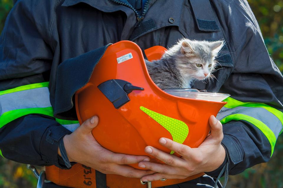 Закарпатські рятувальники влаштували флешмоб, аби знайти домівки бездомним тваринам