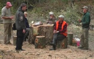 З дозволами не «парилися»: луцькі комунальники перетворили у дрова єдиний ботанічний сад (відео)