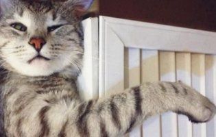 У Луцьку розпочався опалювальний сезон