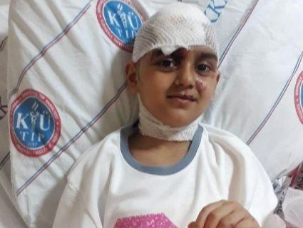 Відчайдушна мати врятувала дитину, розтиснувши щелепи пітбулю (відео)